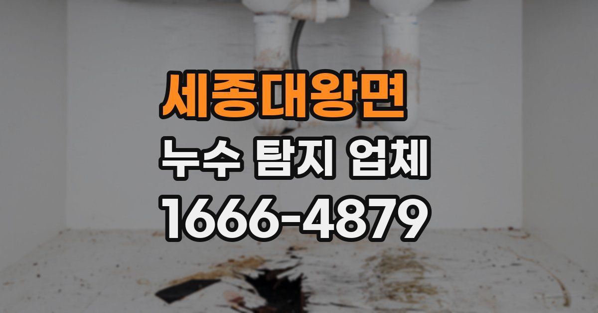 세종대왕면 누수 탐지 업체
