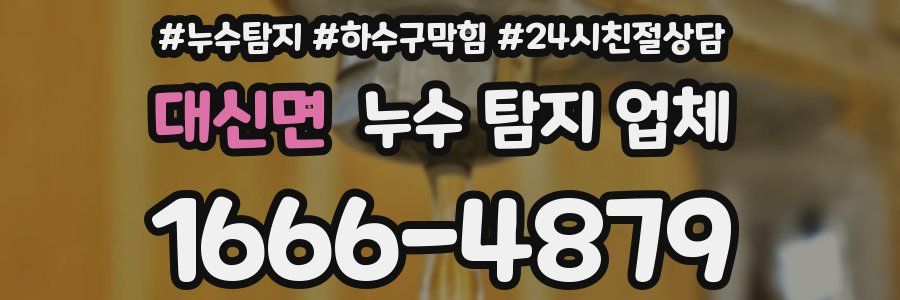 대신면 누수 탐지 업체