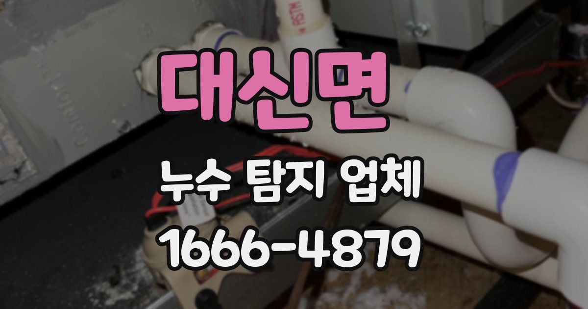 대신면 누수 탐지 업체