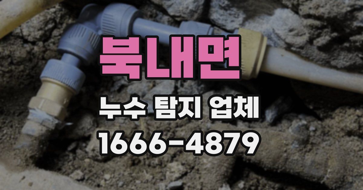 북내면 누수 탐지 업체