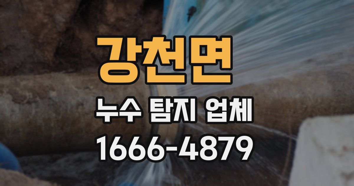 강천면 누수 탐지 업체