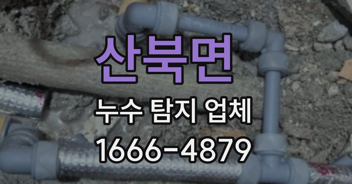 산북면 누수 탐지 업체