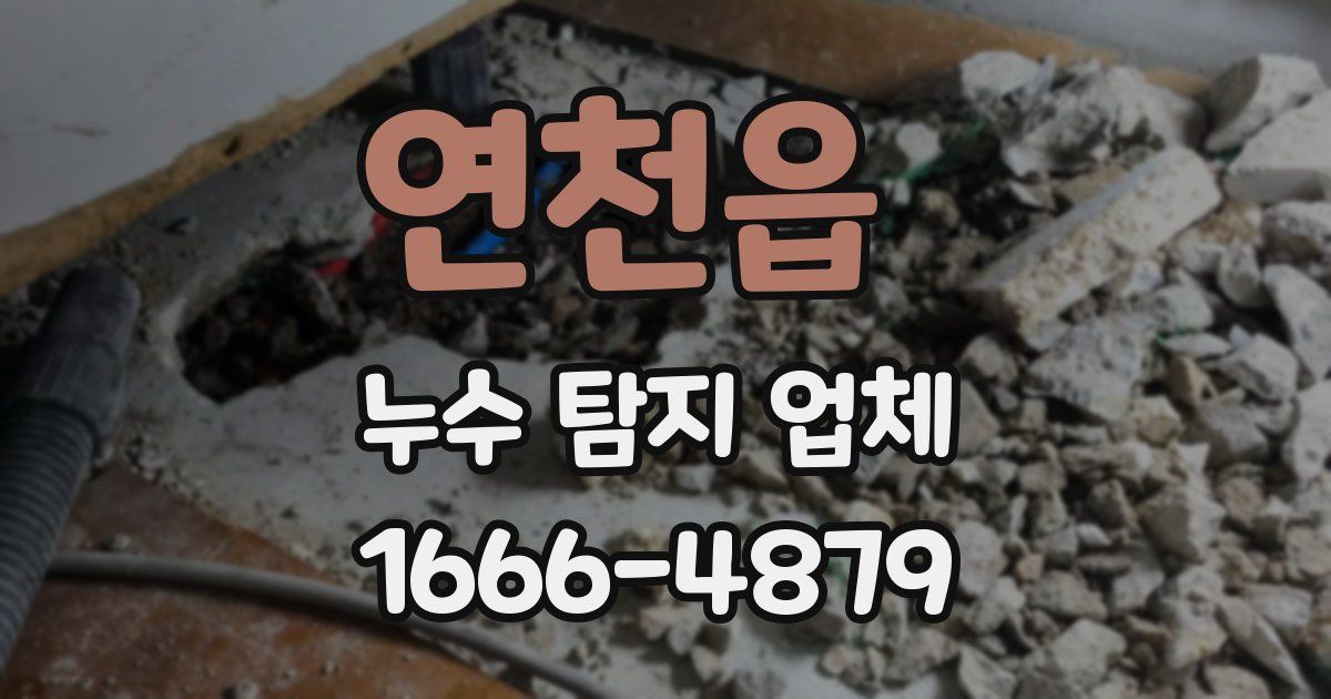연천읍 누수 탐지 업체