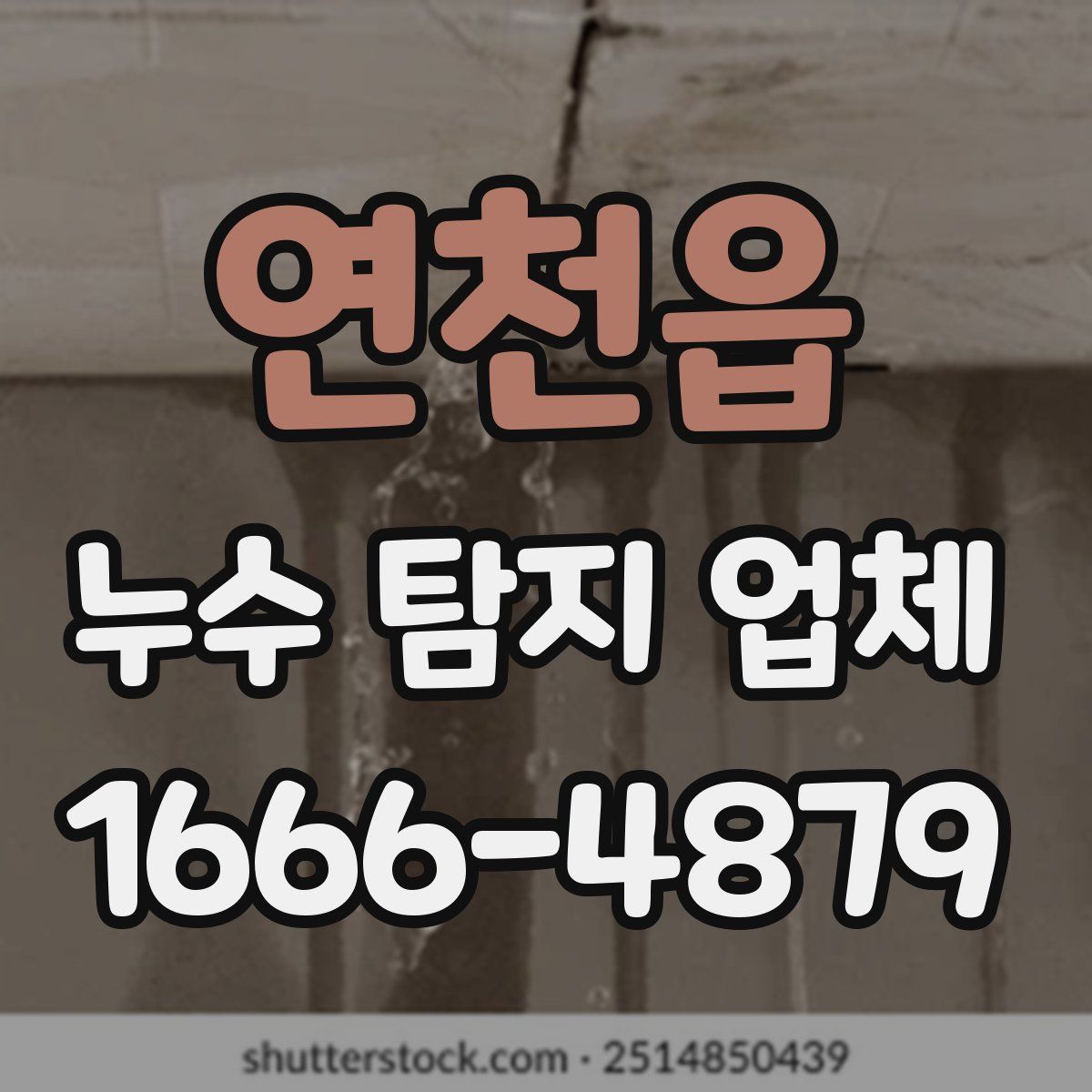 연천읍 누수 탐지 업체