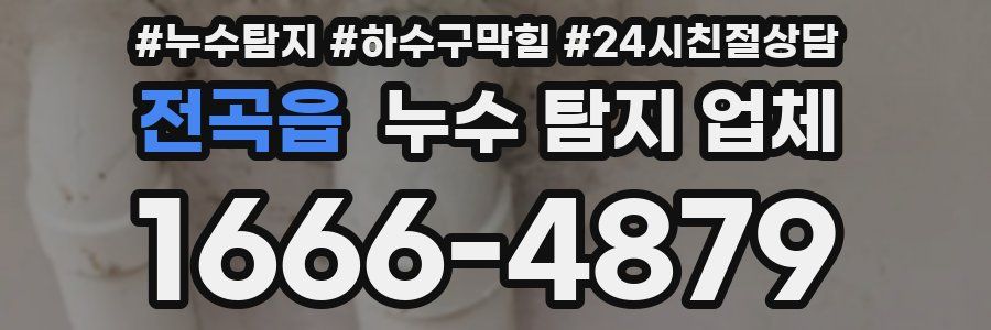 전곡읍 누수 탐지 업체