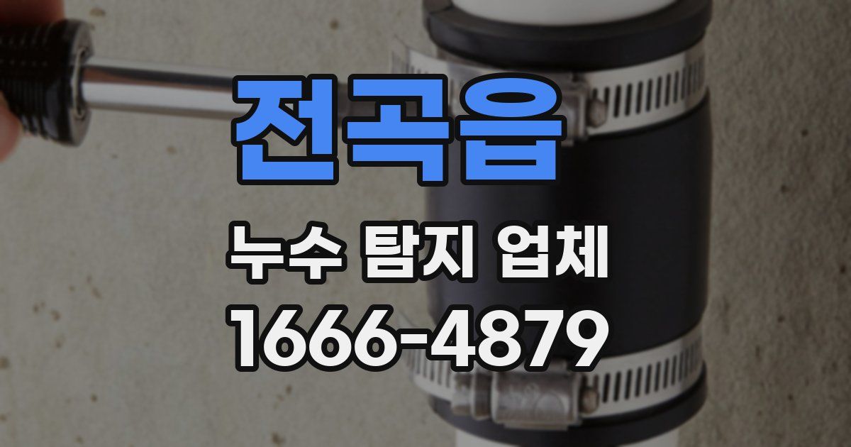 전곡읍 누수 탐지 업체