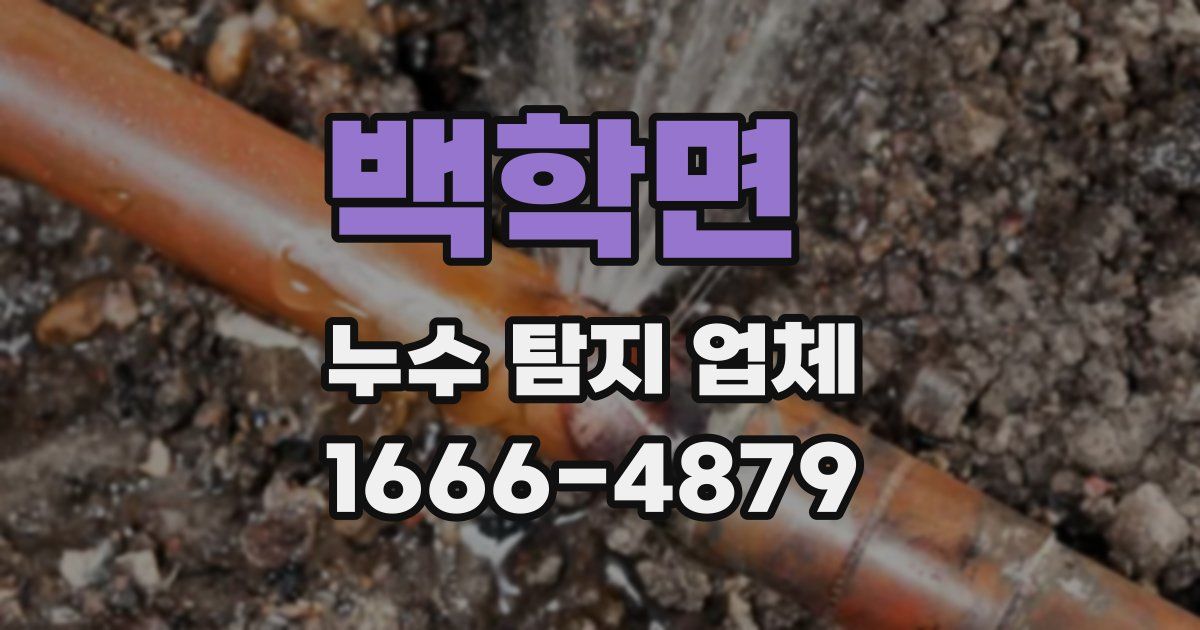 백학면 누수 탐지 업체