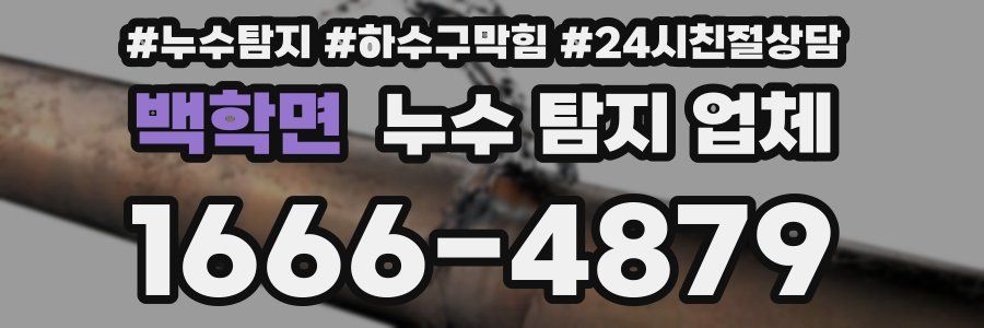 백학면 누수 탐지 업체