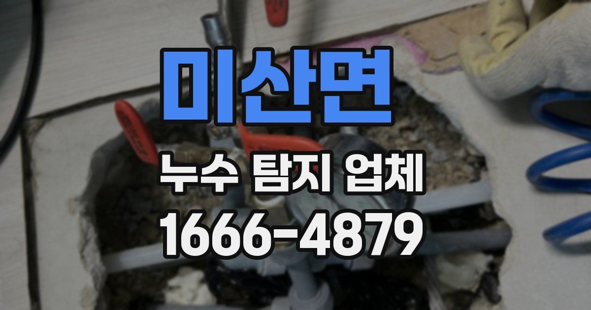 미산면 누수 탐지 업체