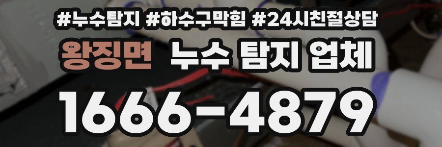 왕징면 누수 탐지 업체