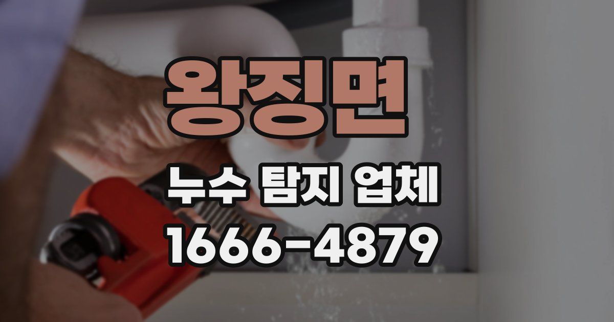 왕징면 누수 탐지 업체