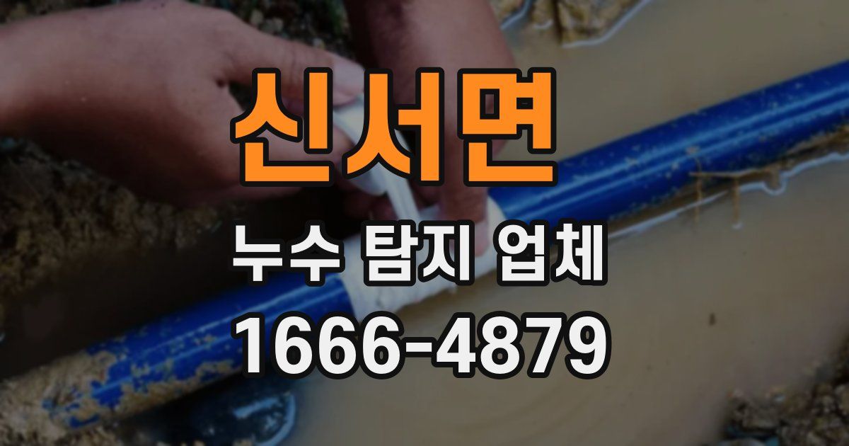 신서면 누수 탐지 업체