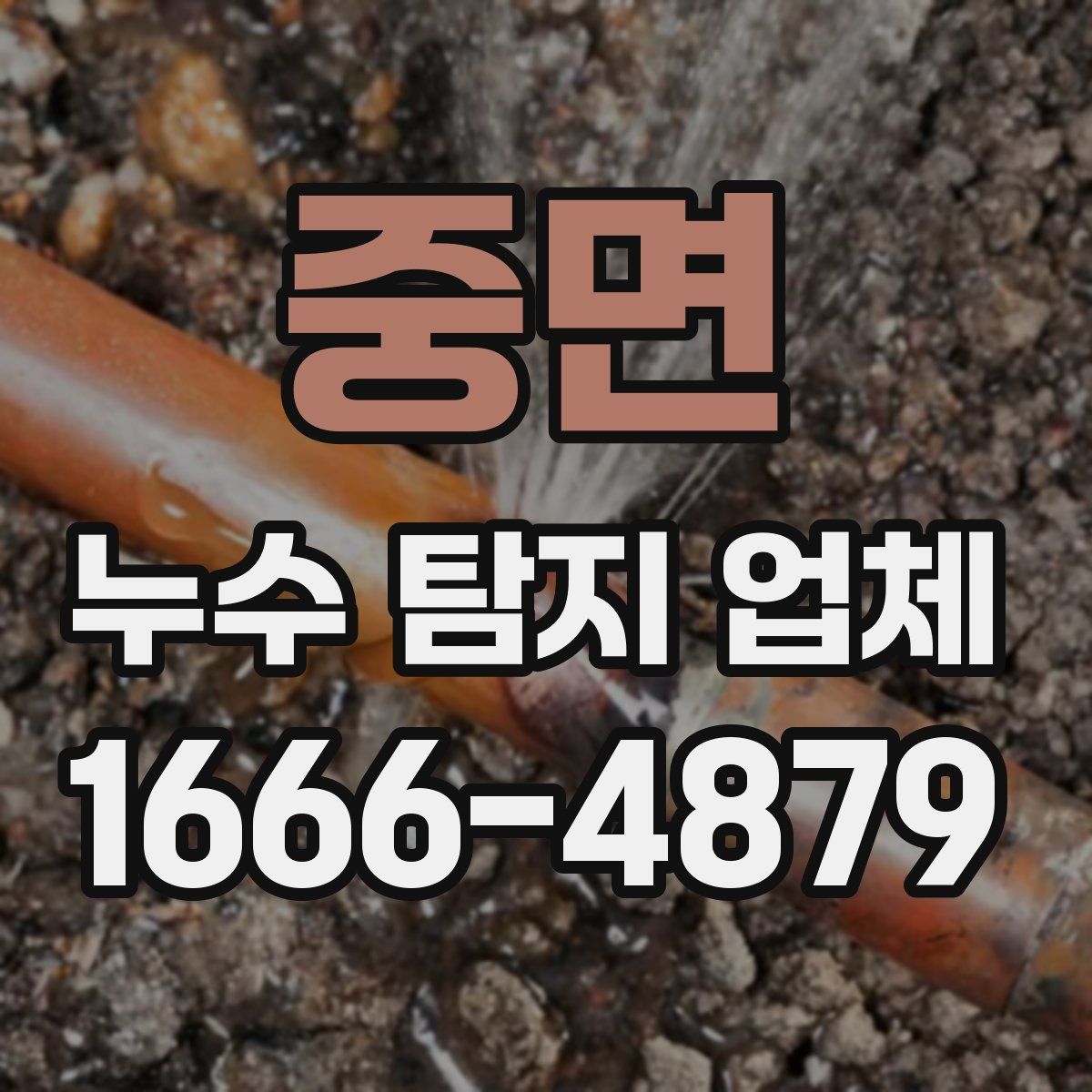 중면 누수 탐지 업체