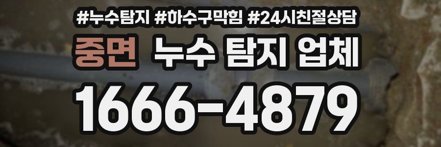 중면 누수 탐지 업체