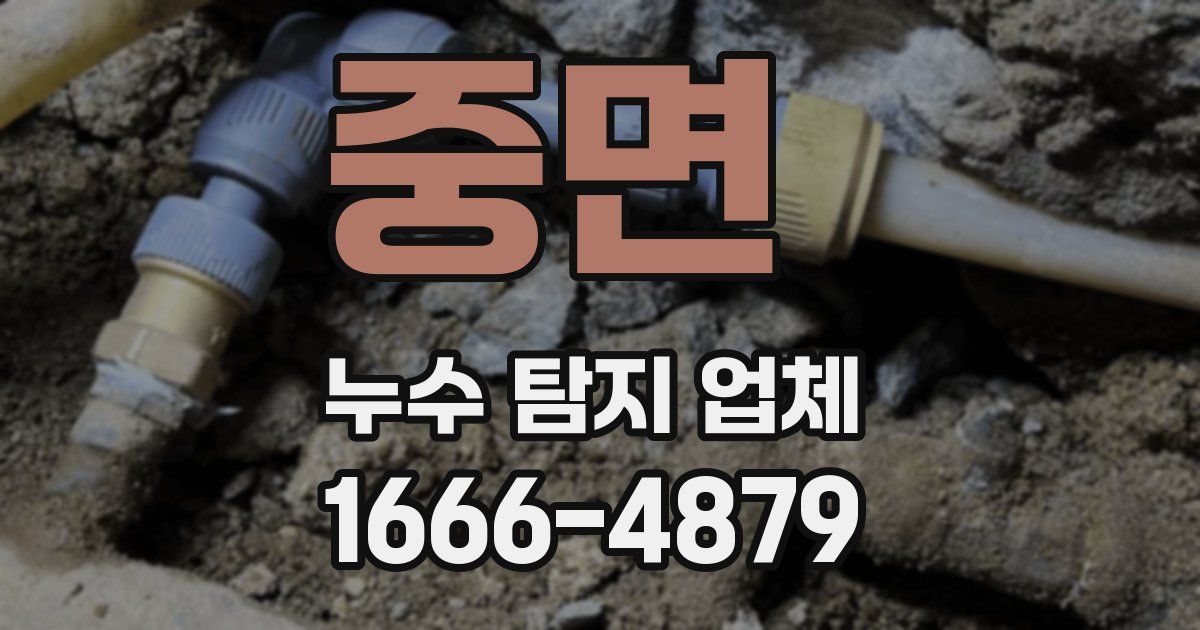 중면 누수 탐지 업체