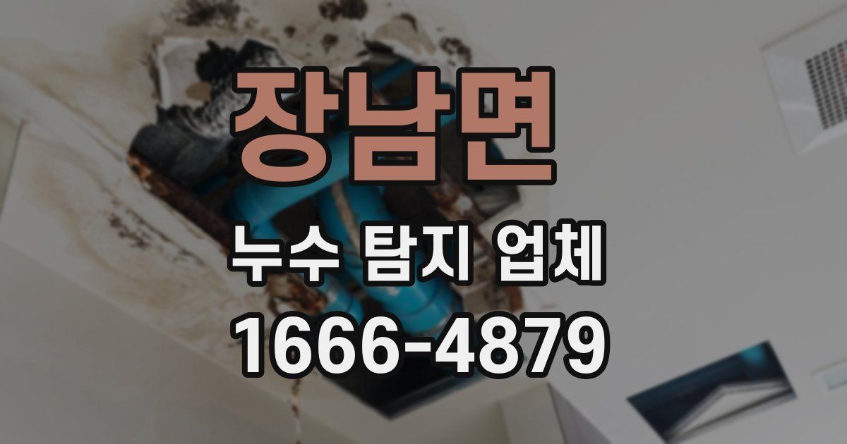 장남면 누수 탐지 업체