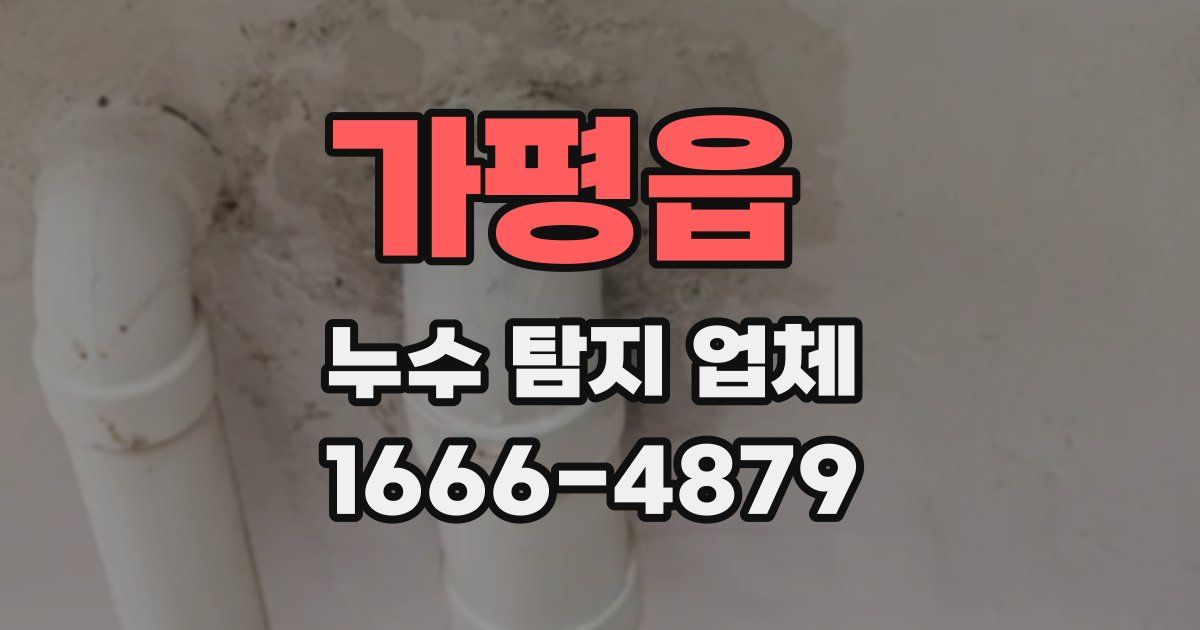 가평읍 누수 탐지 업체