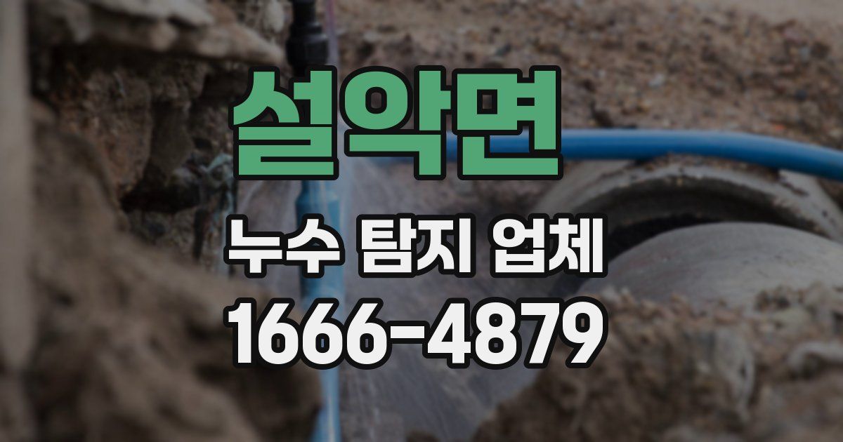 설악면 누수 탐지 업체