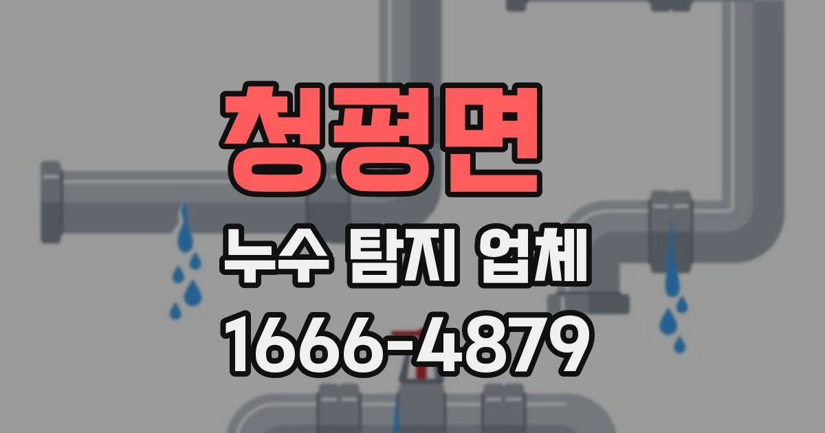 청평면 누수 탐지 업체