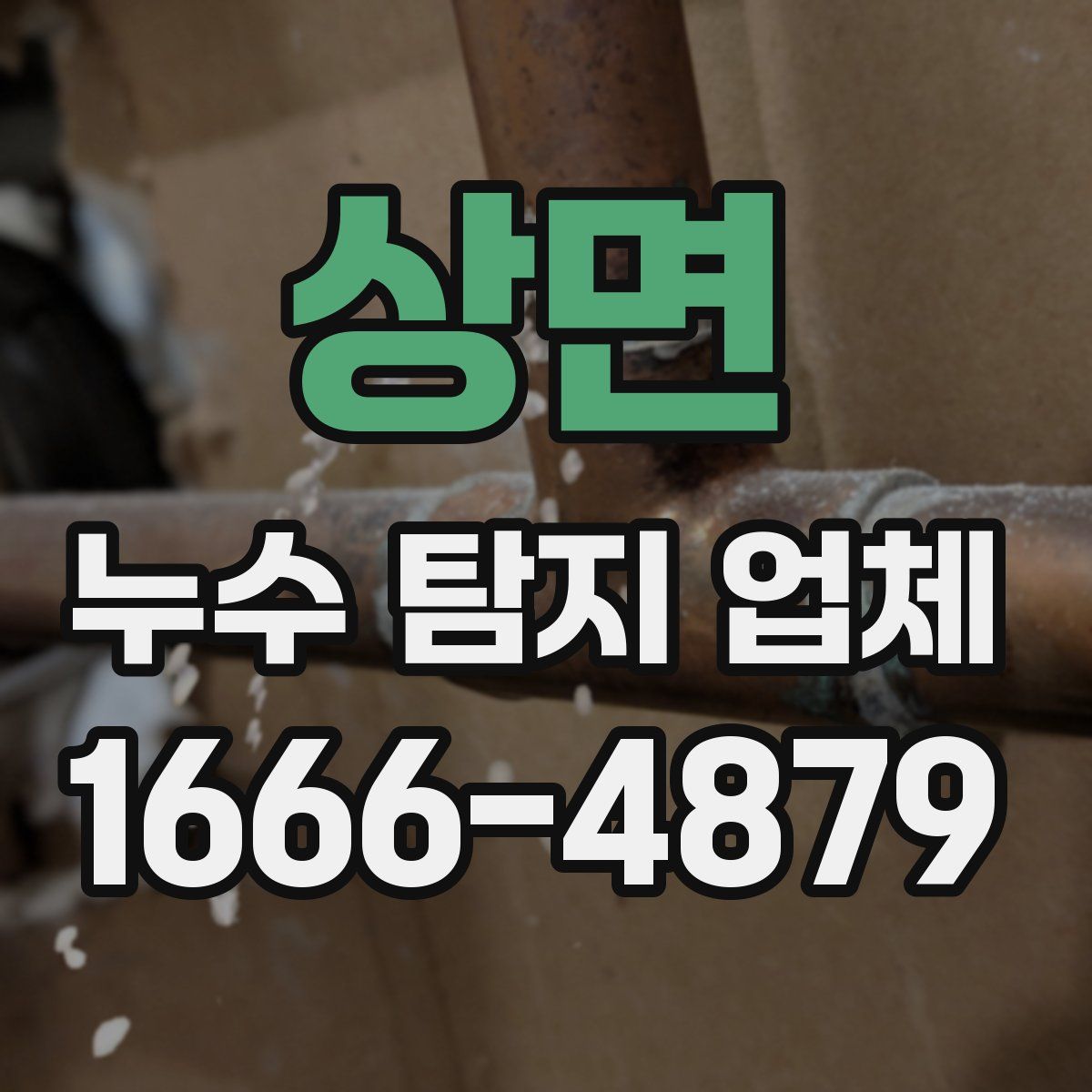 상면 누수 탐지 업체