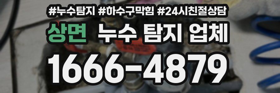 상면 누수 탐지 업체