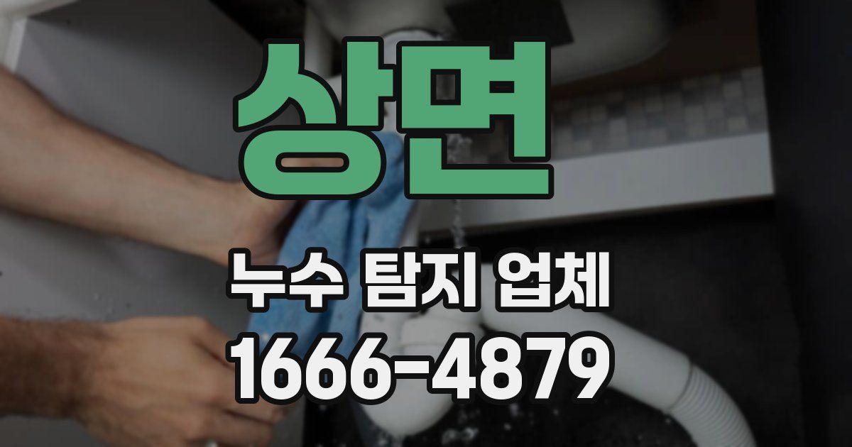 상면 누수 탐지 업체
