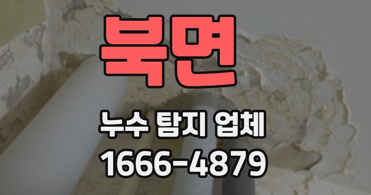 북면 누수 탐지 업체