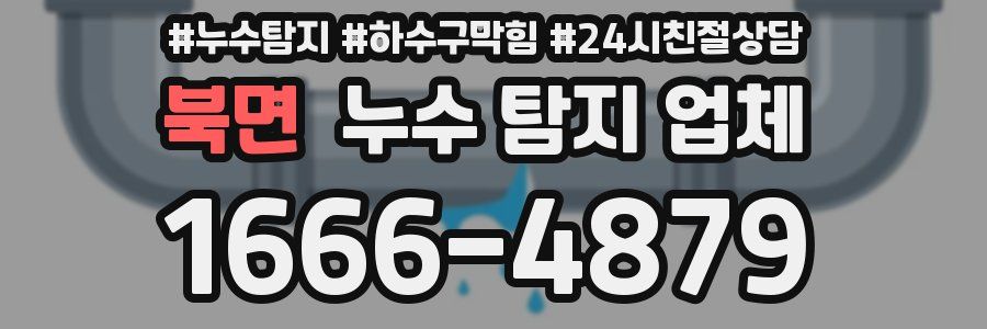 북면 누수 탐지 업체