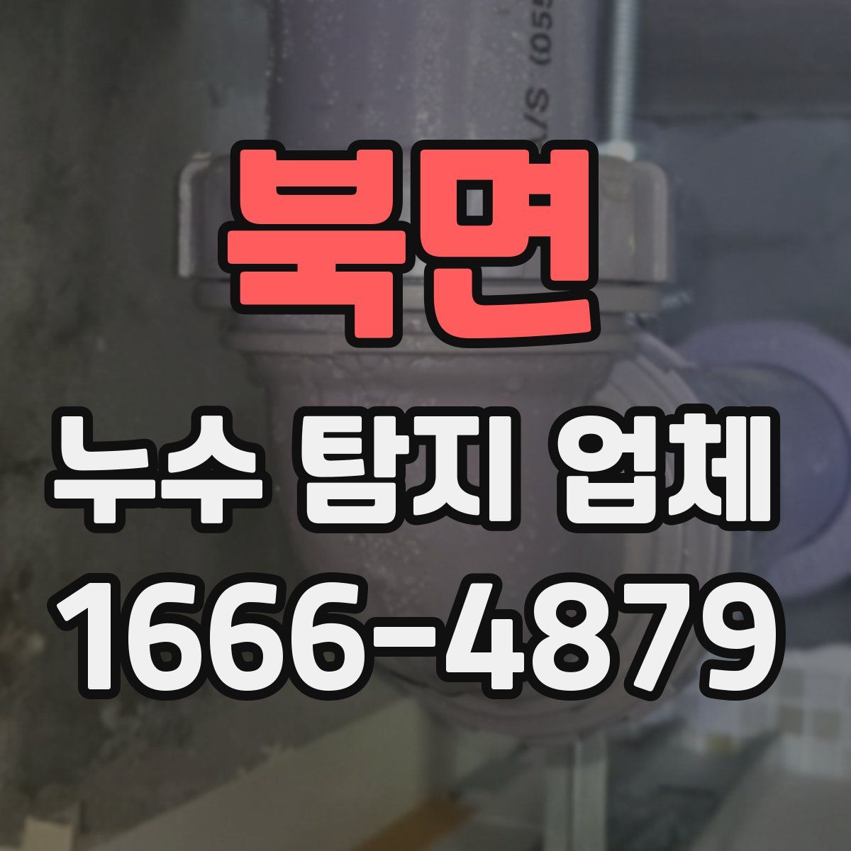 북면 누수 탐지 업체