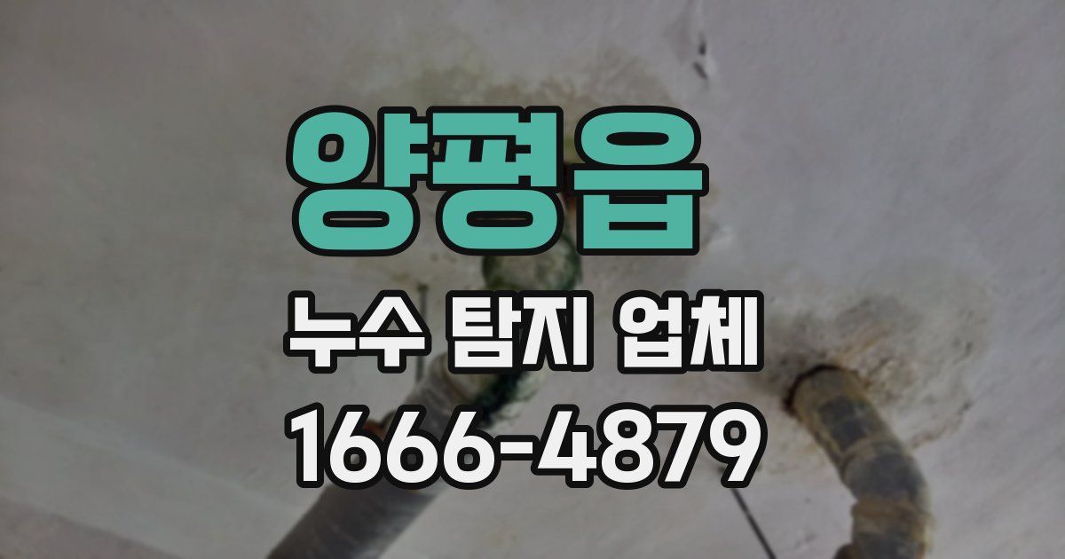 양평읍 누수 탐지 업체
