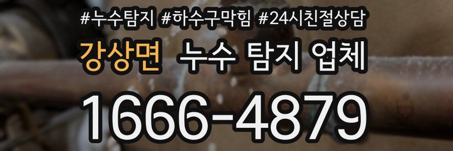 강상면 누수 탐지 업체