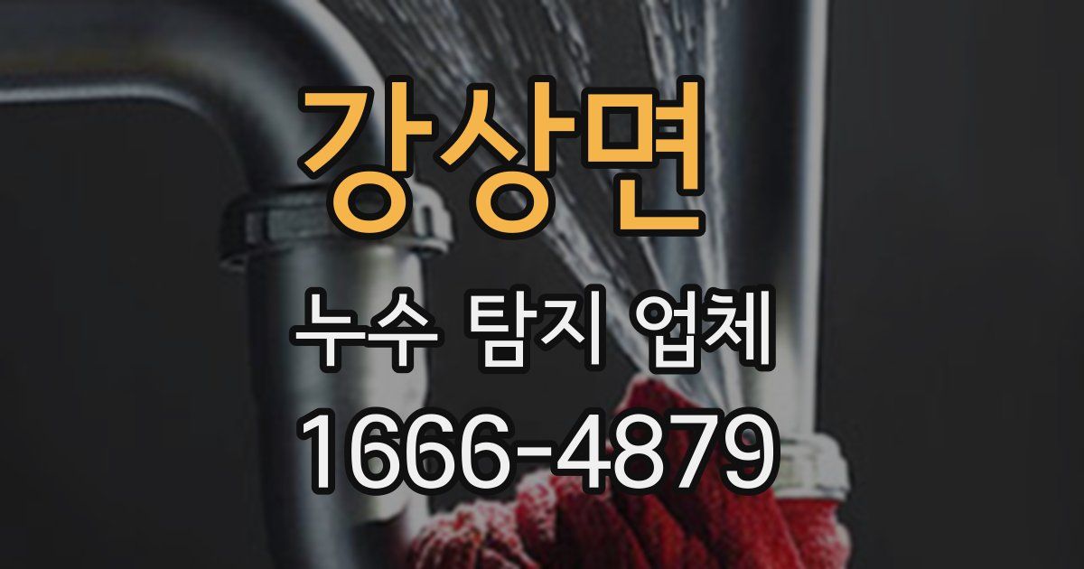 강상면 누수 탐지 업체