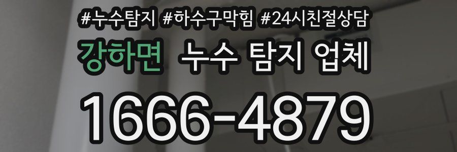 강하면 누수 탐지 업체