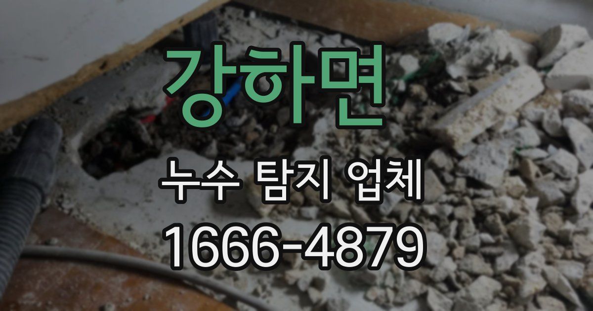 강하면 누수 탐지 업체