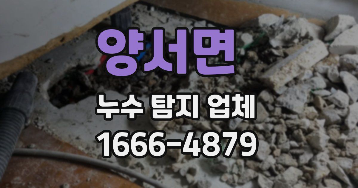 양서면 누수 탐지 업체