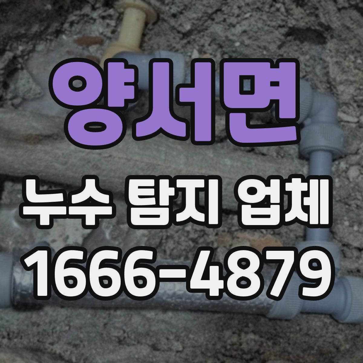 양서면 누수 탐지 업체