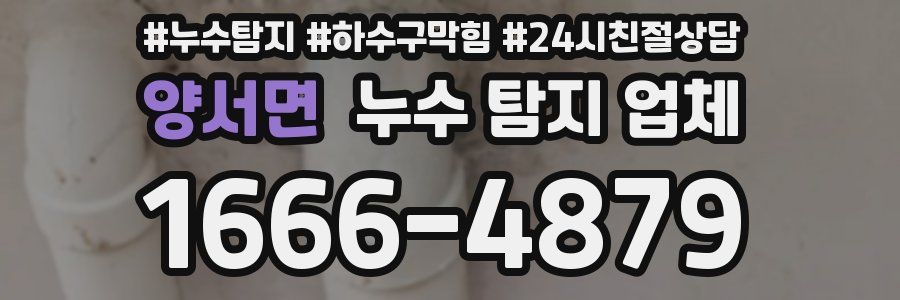 양서면 누수 탐지 업체