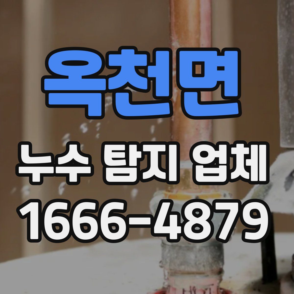 옥천면 누수 탐지 업체