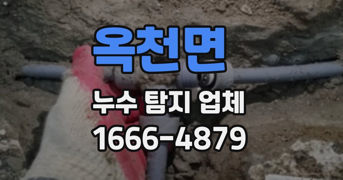 옥천면 누수 탐지 업체