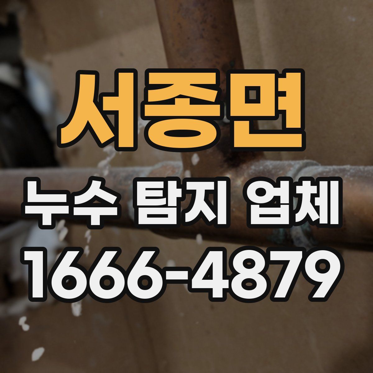 서종면 누수 탐지 업체