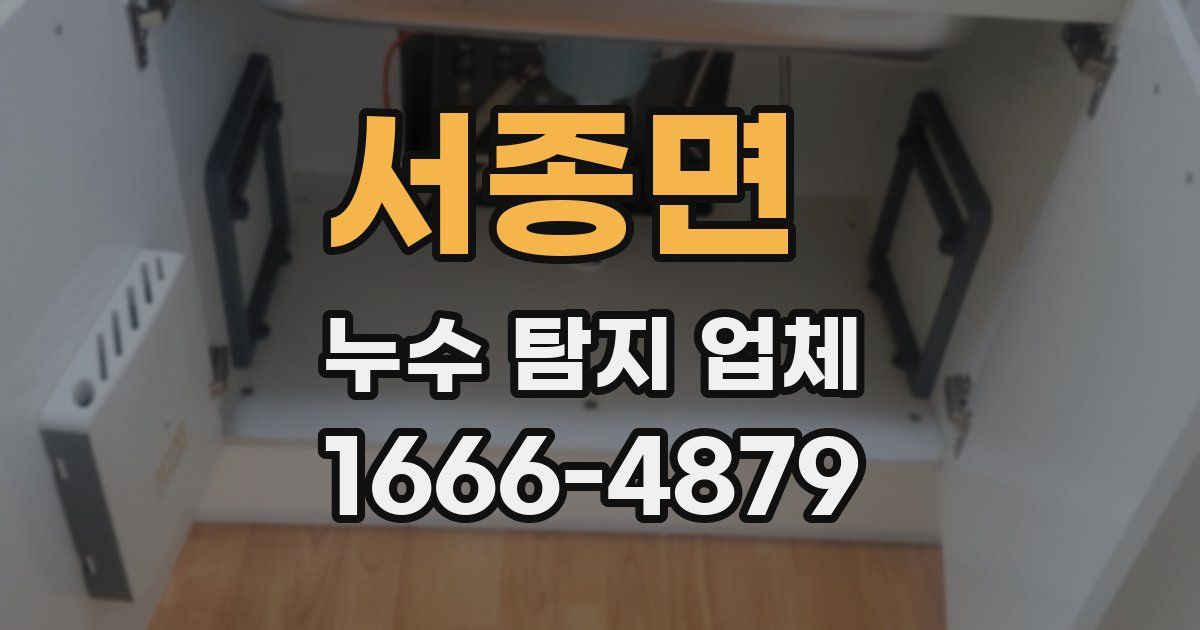 서종면 누수 탐지 업체