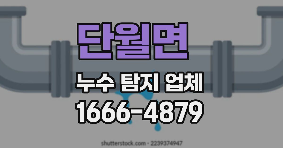 단월면 누수 탐지 업체