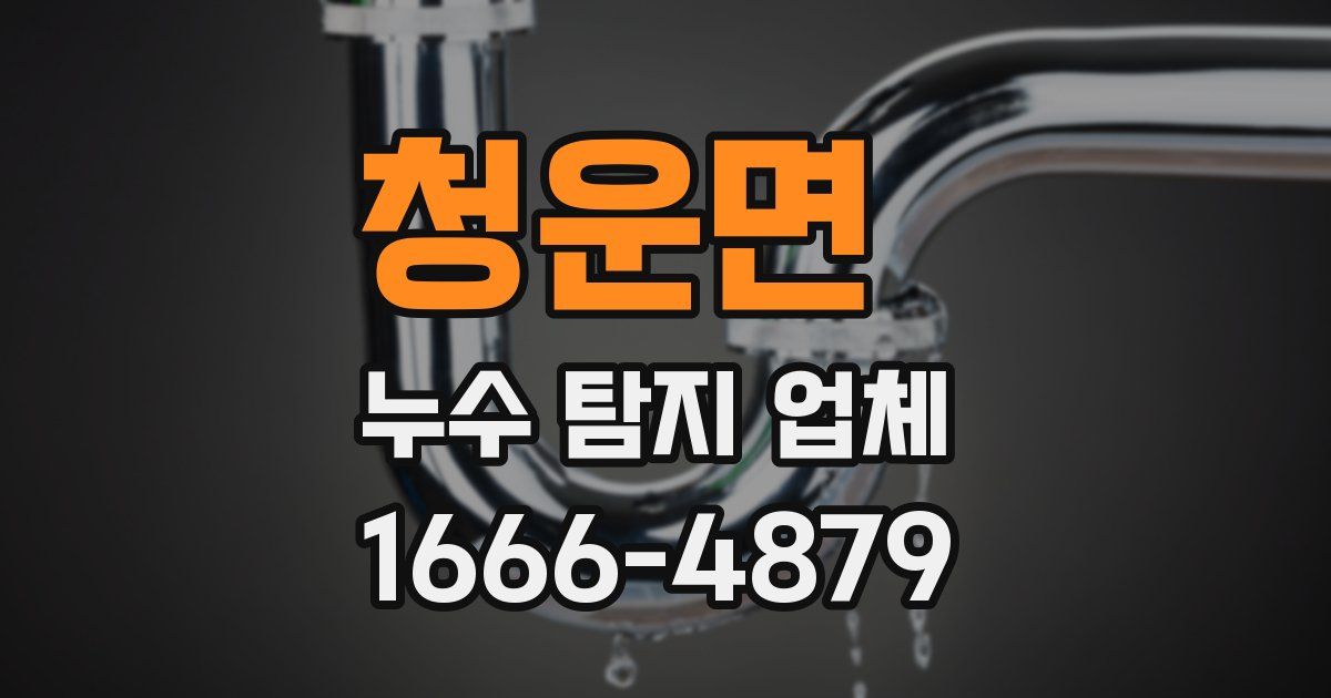 청운면 누수 탐지 업체