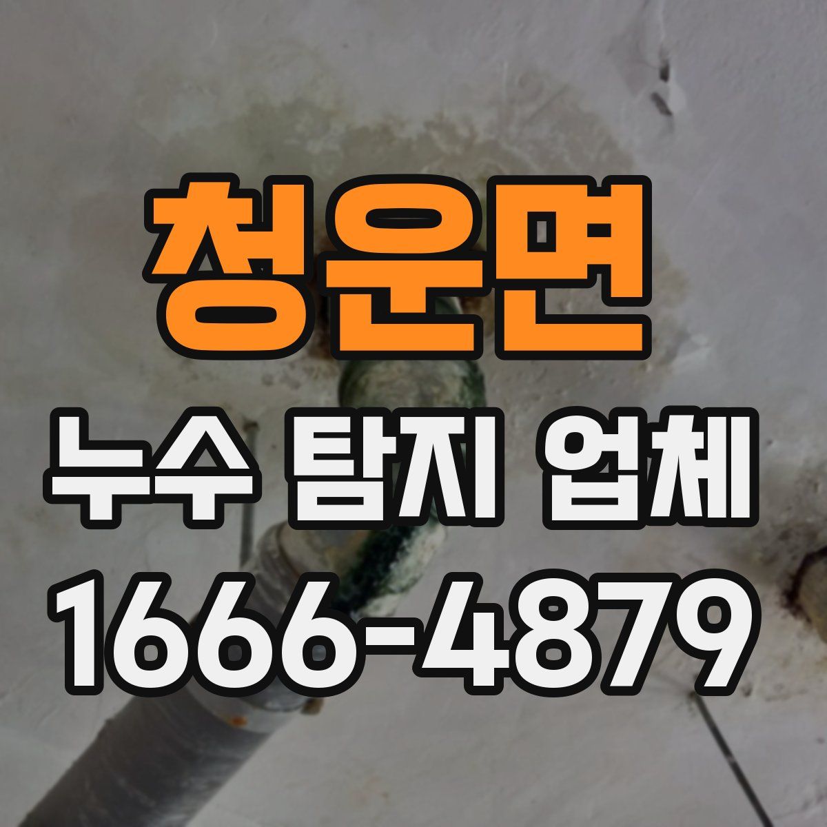 청운면 누수 탐지 업체