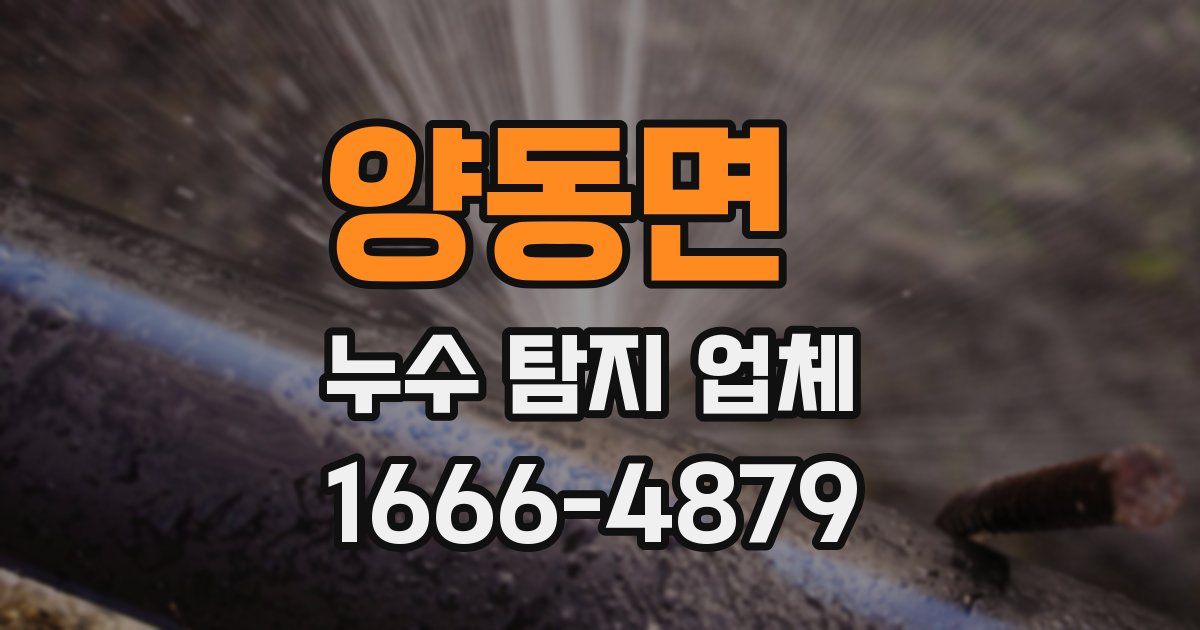 양동면 누수 탐지 업체