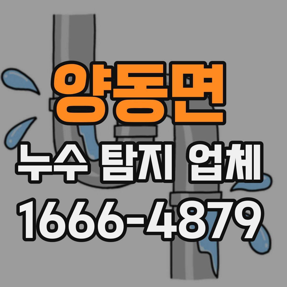 양동면 누수 탐지 업체
