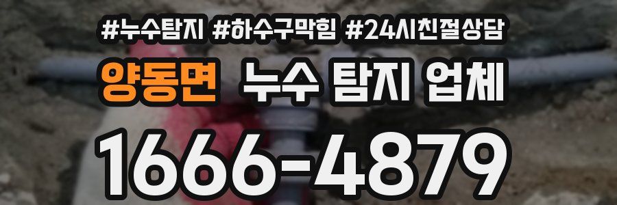 양동면 누수 탐지 업체