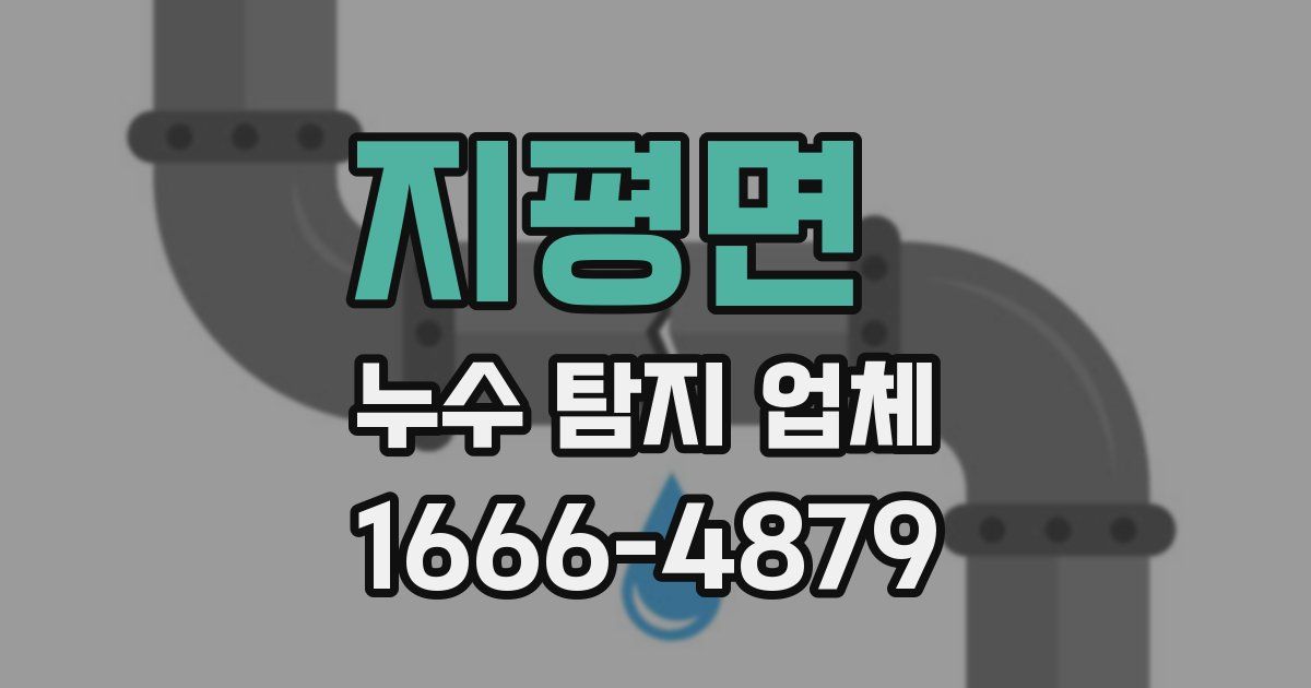지평면 누수 탐지 업체