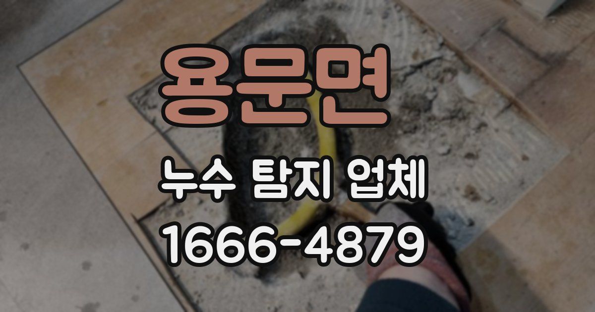 용문면 누수 탐지 업체