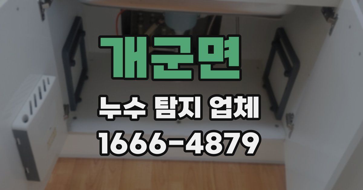 개군면 누수 탐지 업체